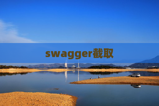 swagger截取